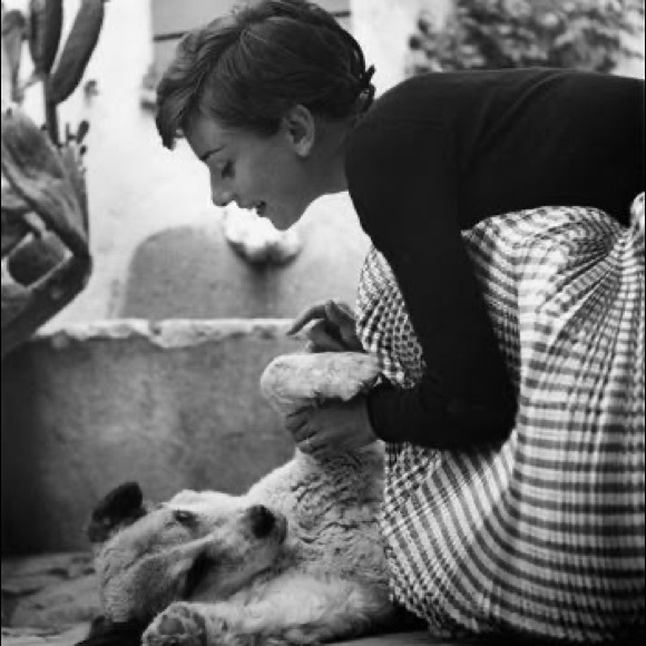 I have a love for rescuing animals and being a mom - Picture 5 of 9